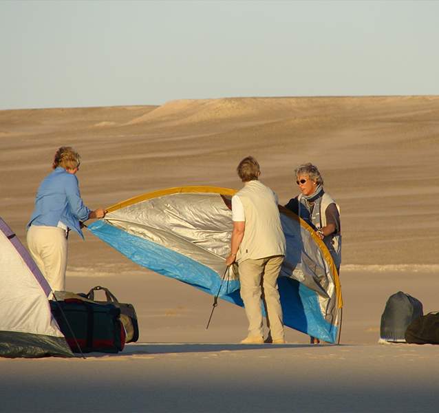 01_Wild-Desert-Night