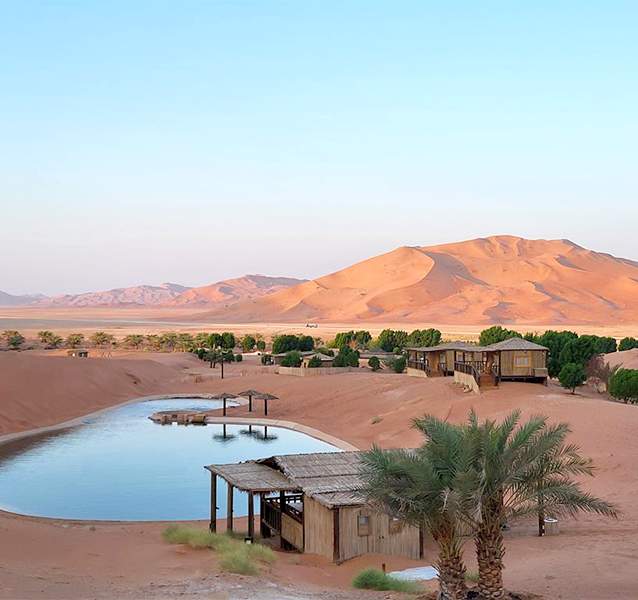 02_Wild-Desert-Night